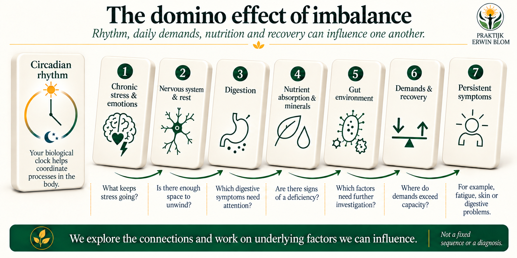 Dominoes illustrating connections between daily rhythm, stress, the nervous system, digestion, nutrient absorption, the gut environment, demands and symptoms.