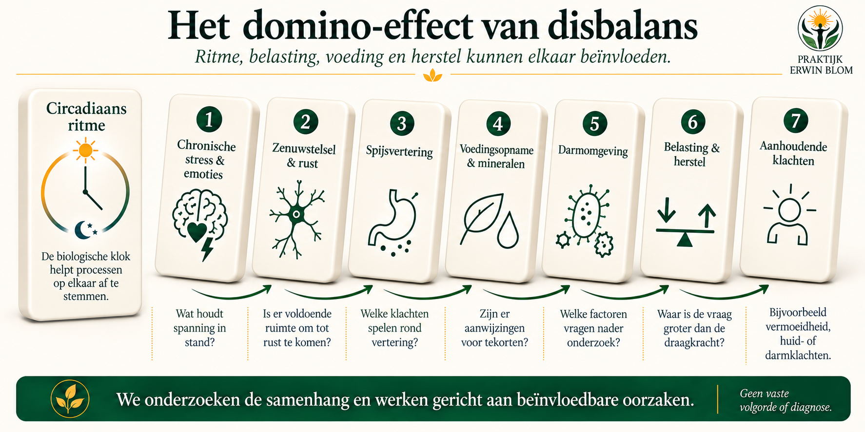 Domino's die de samenhang verbeelden tussen dagritme, stress, zenuwstelsel, spijsvertering, voedingsopname, darmomgeving, belasting en klachten.