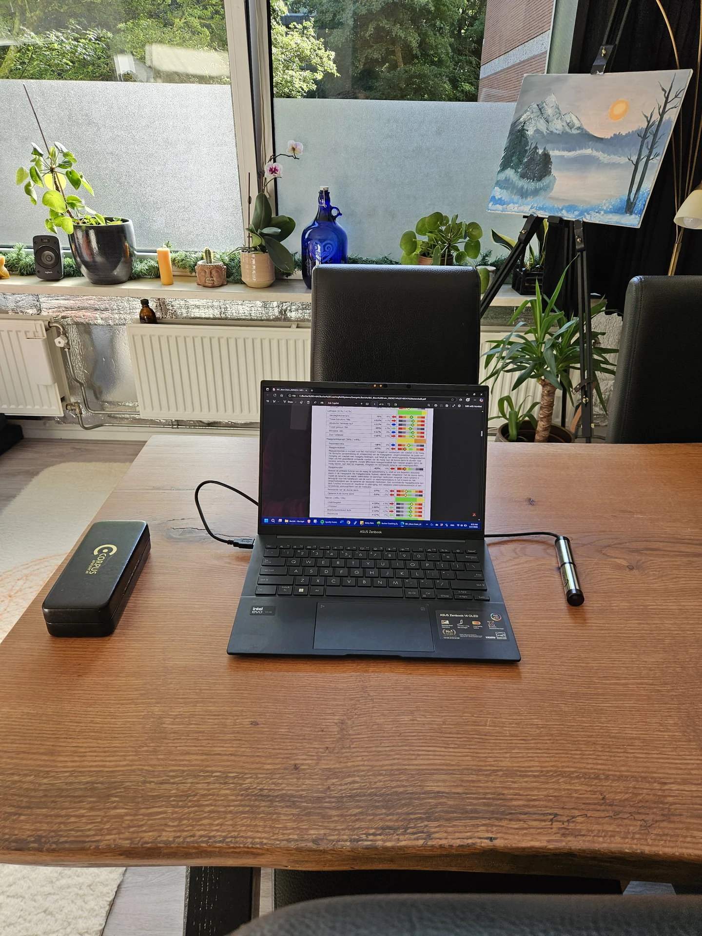 Corpus Analyser tijdens een sessie in de praktijkruimte