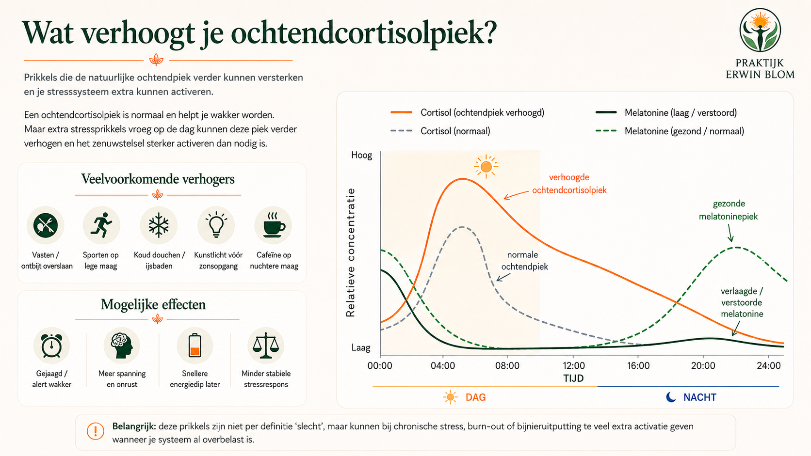 Infographic over prikkels, mogelijke effecten en een illustratief dag-nachtritme van cortisol en melatonine