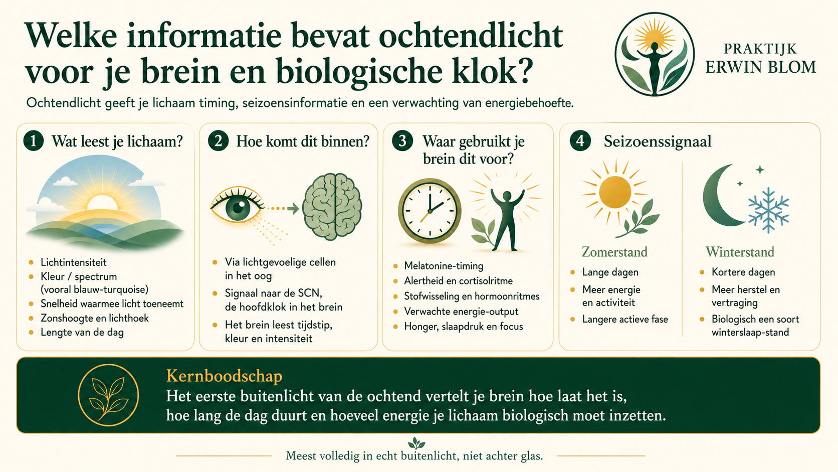 Volledige infographic in vier stappen over ochtendlicht, het oog, de biologische klok en seizoenssignalen